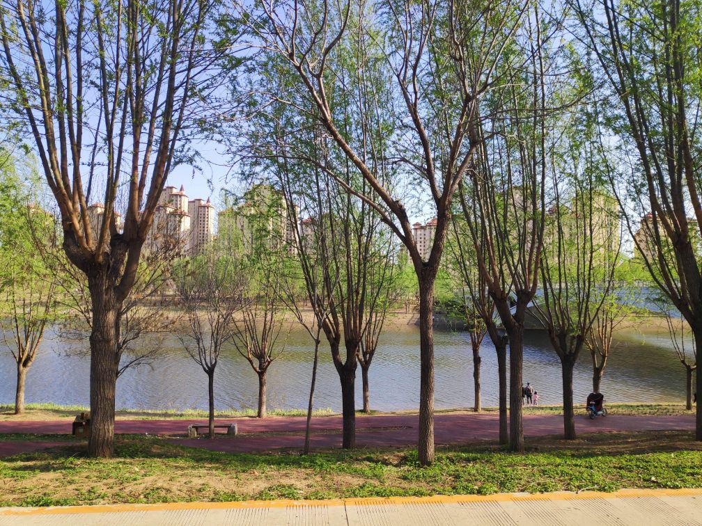 州河国家湿地公园 · 天津市 · 景点