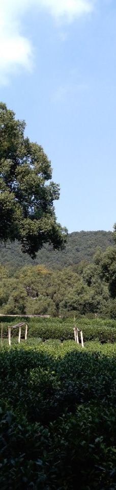 里鸡笼山-杭州