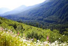 Snoqualmie Tunnel景点图片