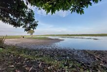 Danau Palem Raya景点图片