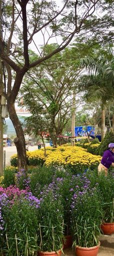 công viên Di Lăng-山河县