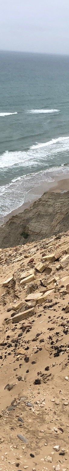 Rubjerg Knude-勒肯