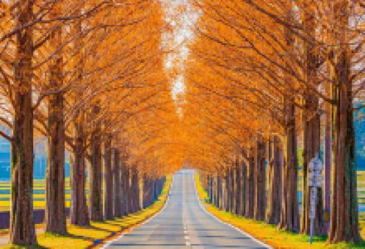 Makino Highland景点图片