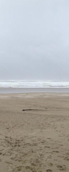 South Beach State Park-纽波特