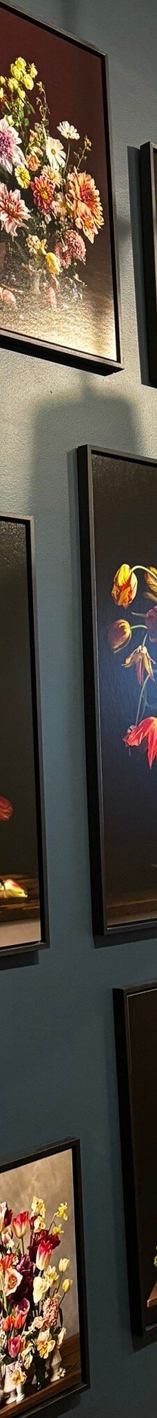 阿姆斯特丹郁金香博物馆-阿姆斯特丹