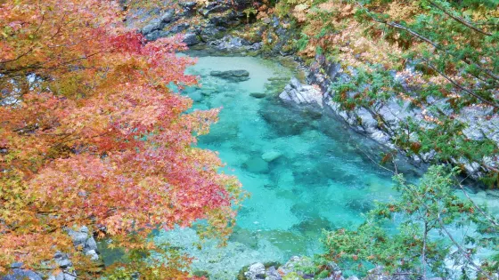 阿寺の七滝