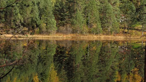 Telemarksvegen
