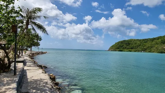 Mae Haad Beach