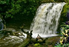 Stocking Creek Trail景点图片