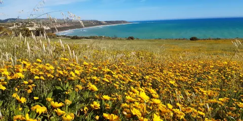 Area Archeologica E Antiquarium Eraclea Minoa