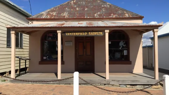 Tenterfield Saddler