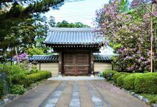 长徳寺景点图片