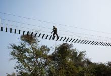 Go Wild Adventure Park景点图片