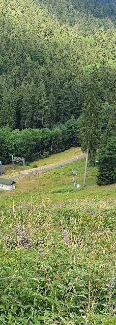 玛利亚温泉滑雪度假村-玛丽亚温泉市
