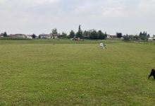 Off-leash Dog Park景点图片