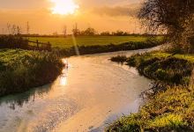Magor Marsh - Gwent Wildlife Trust景点图片