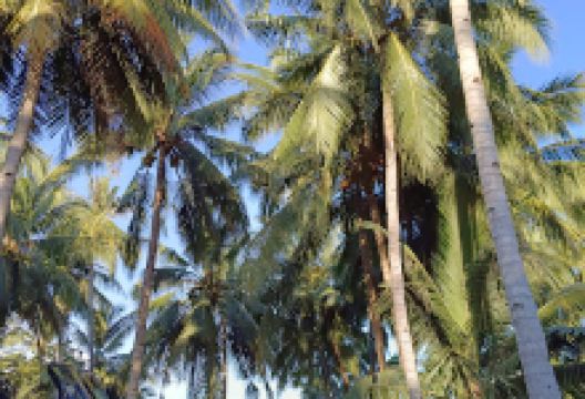 J&L Huyohoy Beach Resort景点图片