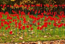 Coldstream War Memorial and Gardens景点图片
