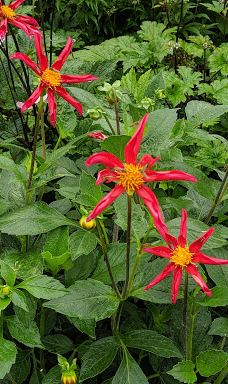 宁布鲁宫和花园-Beningbrough