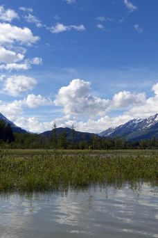 奇尔卡特河-海恩斯自治市镇