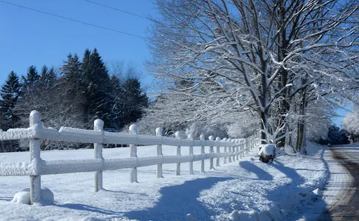 St. Johns Conservation Area