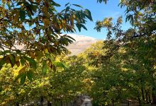 Los Riscos in Juzcar and Cartajima景点图片
