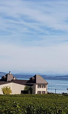 Domaine de Chambleau-Milvignes