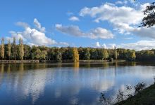 Parc du château景点图片