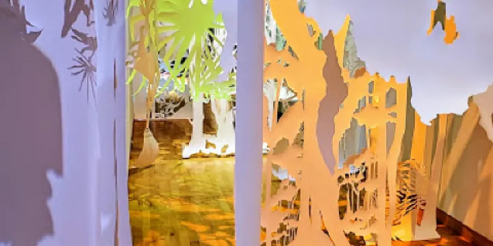 USF Contemporary Art Museum