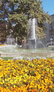 Art Gallery-多布里奇