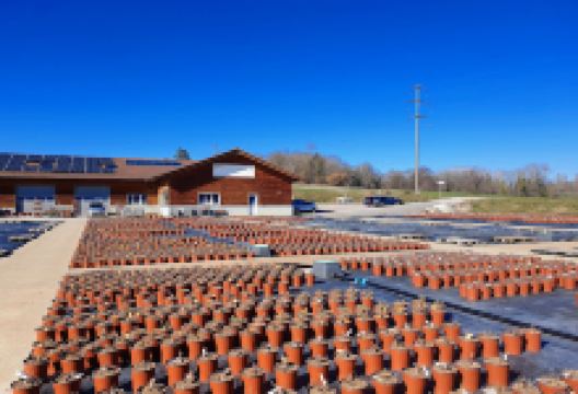 Roseraies Tschanz购物图片