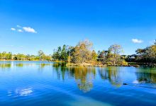 Forest Lake Playground景点图片