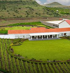 Chandon India Winery-纳西克