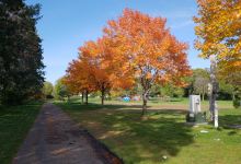 Quail Creek Park景点图片
