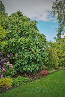 Gore Public Gardens-戈尔