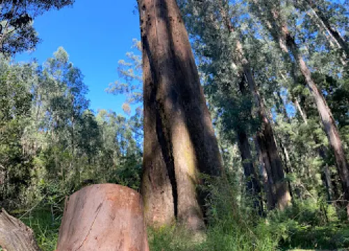 Sherbrooke Picnic Ground