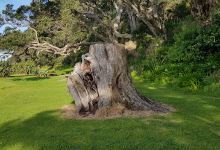 Track to Cave Bay景点图片