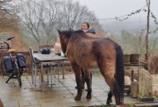 De Speelberg景点图片