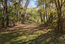 Honey Creek Preserve景点图片