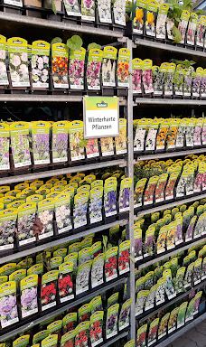 Dehner Garten-Center-开姆尼茨