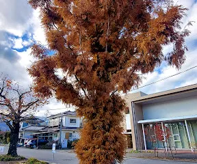 梓川アカデミア館