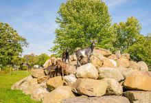 Sun Retreats Pleasant Acres Farm景点图片