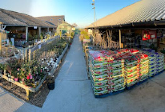 Rye Garden Centre购物图片