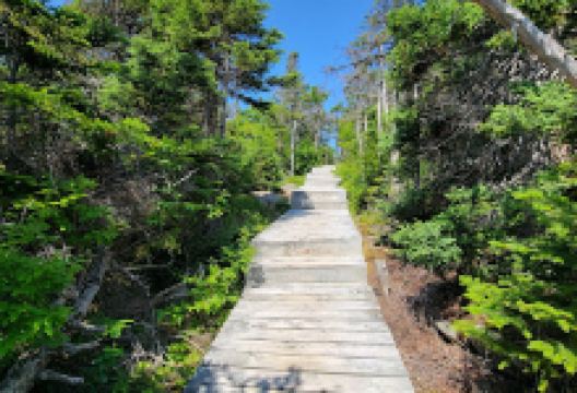James Cook Heritage Trail景点图片