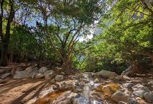 Ngurunit Natural Rock Pools and Water Slides景点图片