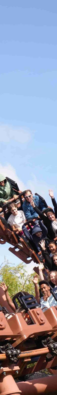 丹麦比隆乐高世界-比隆-石楠子