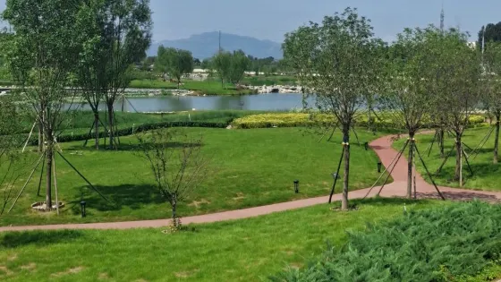 沙河濕地公園