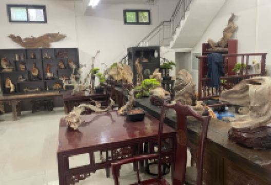 山水间-太行崖柏购物图片