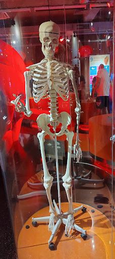 iQLANDIA-利贝雷茨