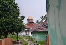 Masjid Dkm Palawijo景点图片